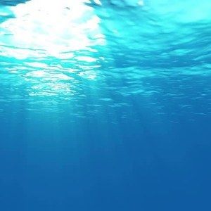 Meet your Posher, Garrett